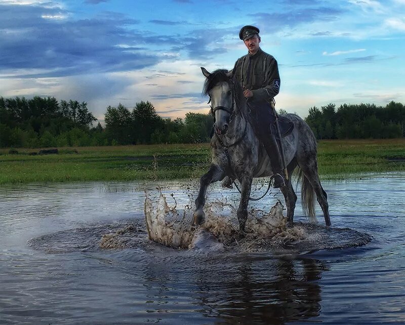 Казачья лошадь. Казаки на конях. Казак на лошади. Донские казаки на лошадях.