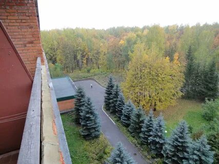 Санаторий березовая роща пенза отзывы