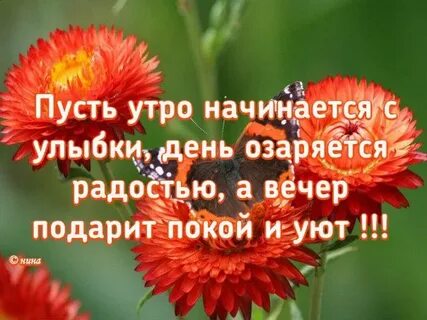 Пусть утро начинается