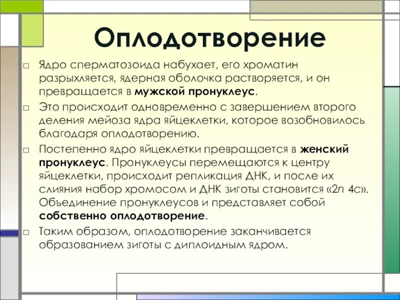 Растворение оболочки ядра происходит в. Ядро спермия. Растворяется ядерная оболочка в. Растворимая оболочка. Отличия ядра сперматозоида от мужского пронуклеуса.