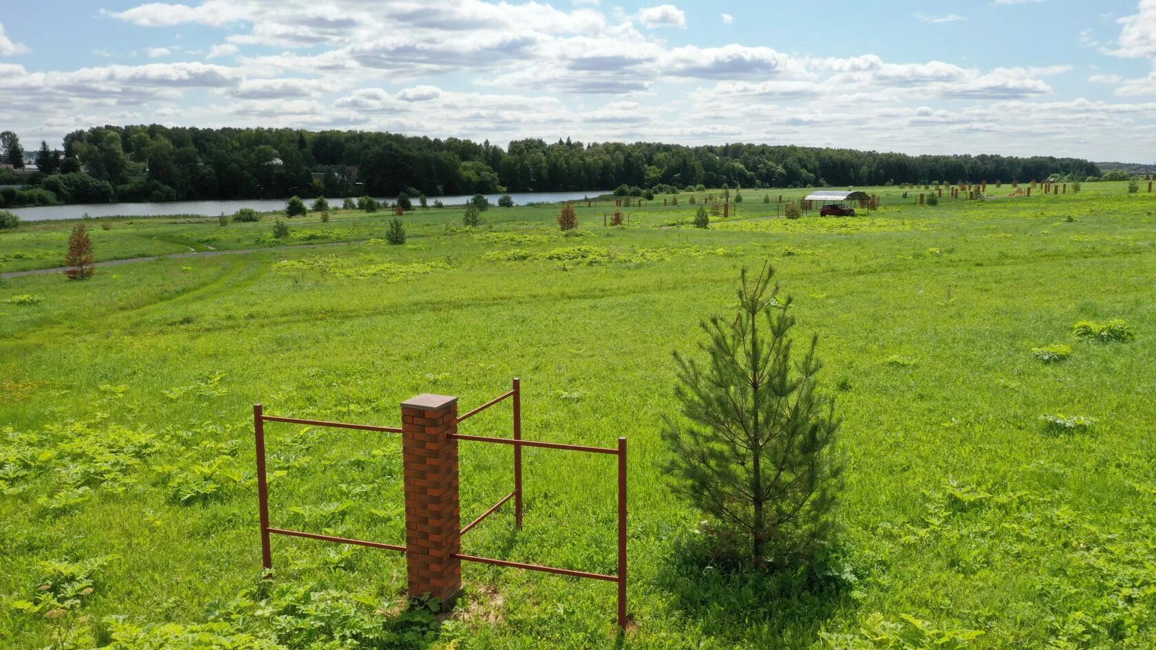 Продам землю в городе. Растуново коттеджный поселок. Загородный поселок 'Растуново'. Пустой земельный участок. Земельный участок с деревьями.