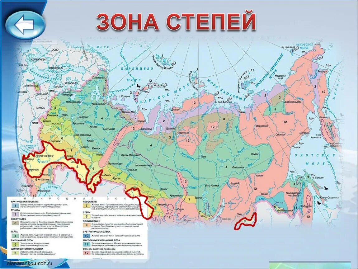 Математика на карте россии 4 класс. Зона степей на карте России. Природная зона степь географическое положение в России. Степь на карте природных зон. Природные зоны России атлас 8.