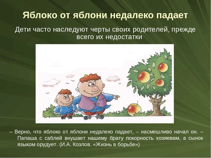 Яблоко от яблони недалеко падает. Поговорка яблоко от яблони недалеко падает. Пословица яблоко от яблони. Фразеологизм яблоко от яблони недалеко падает.