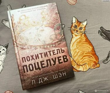 Книга похититель поцелуев л дж шэн читать