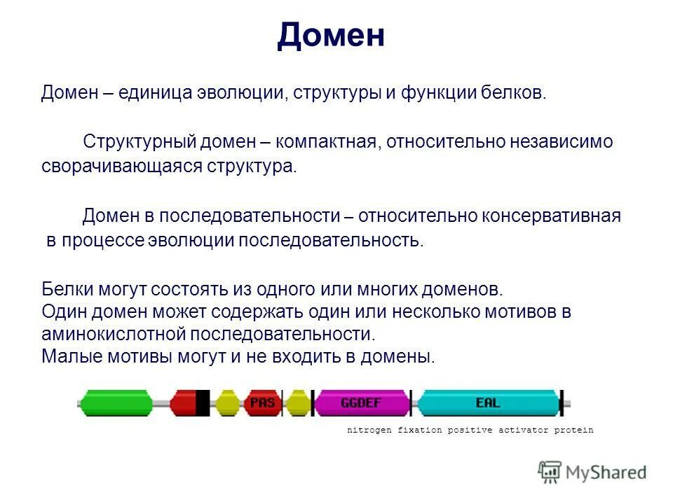 Домен надо. Функции доменов белков. Домены в структуре белка. Доменное строение белков. Белки с доменной структурой.