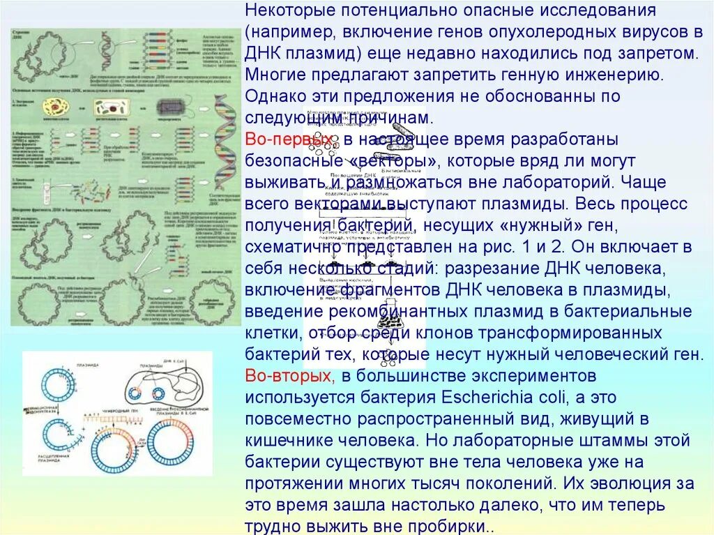 Методы введения днк. Скрининг рекомбинантных ДНК. Введение рекомбинантных плазмид в бактериальные клетки это. Трансформация бактерий и скрининг клонов. Этапы создания рекомбинантной ДНК.