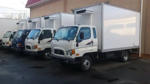 65 van 65