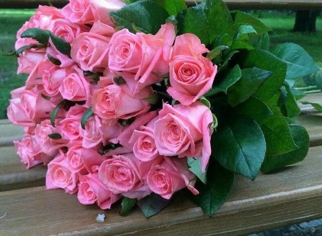 Пин от пользователя A.H на доске Flowers For You ! ♡ Букет красной розы, Красивы