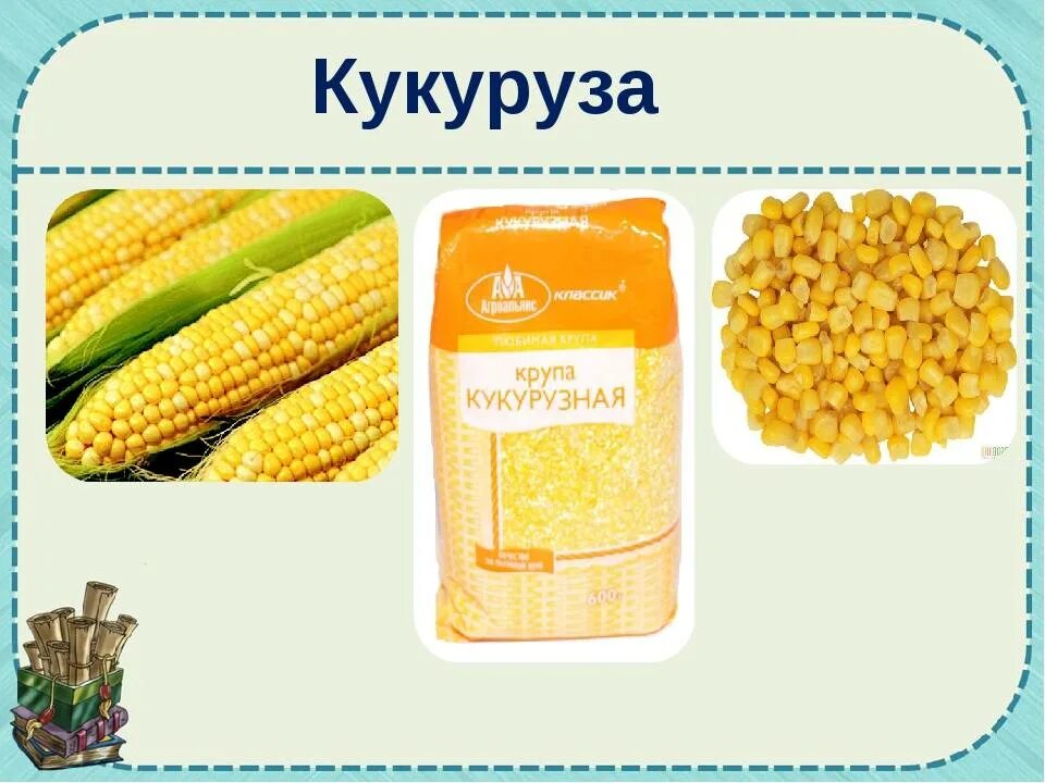 Как называется кукурузная крупа. Кукуруза крупа. кукурузная крупа название. крупы из кукурузы. форма кукурузной крупы.