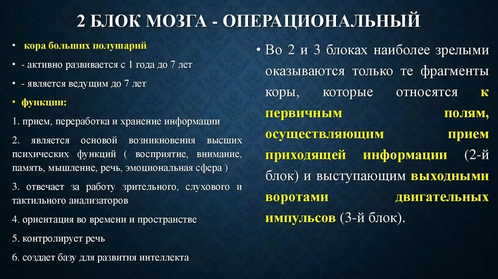 Нарушения блоков мозга. 2 Блок мозга. Признаки нарушения 2 блока мозга. Блоки мозга нейропсихология. Функции 2 блока мозга.