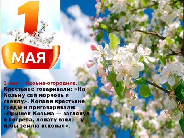 Приметы на май 2025