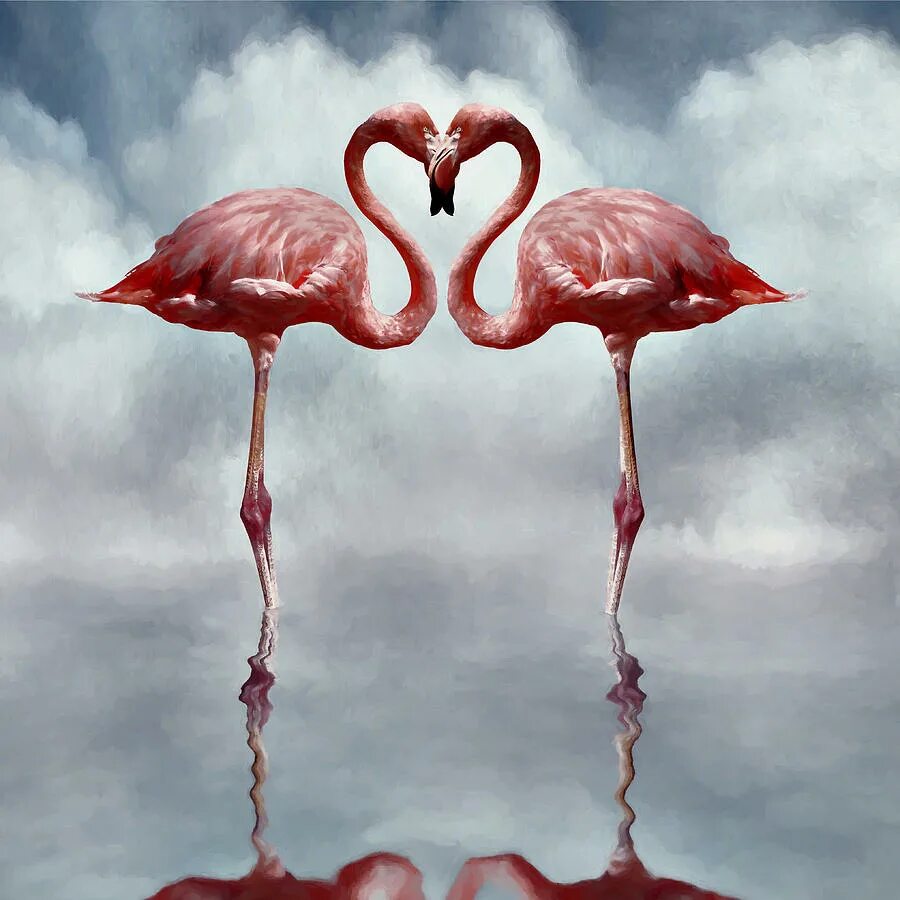 Фламинго на фоне заката. Фламинго 3д арт. Фламинго цитаты и афоризмы. Розовый фламинго картинки. Пара фламинго фен шуй.