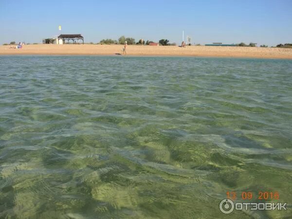 Благовещенская море в августе. Анапа благовещенская море цветет. станица благовещенская море в августе. море в благовещенской сейчас цветет. благовещенская коса цветет море.