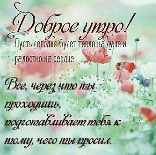 С добрым днем картинки цитаты