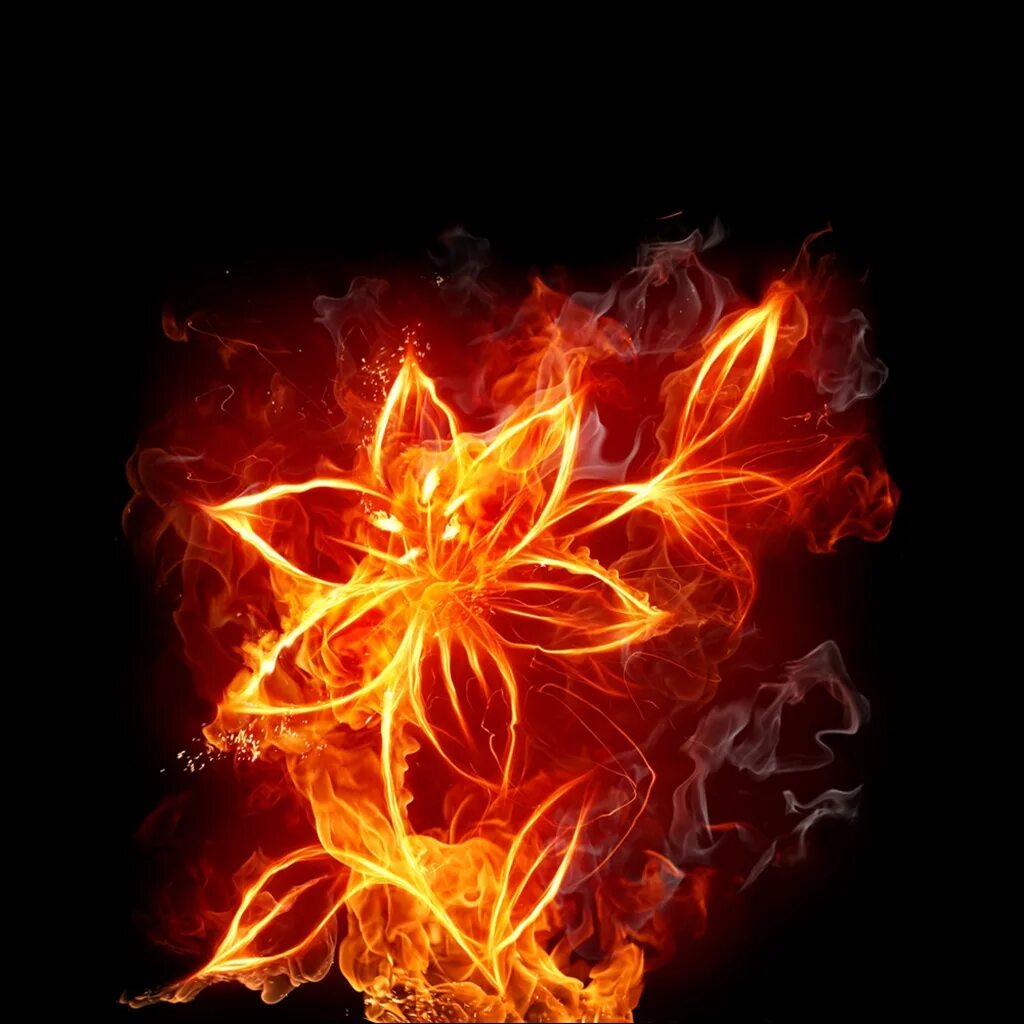 красивый огонь. эффект огня. пламя огня. стена огня. напоминающее огонь.