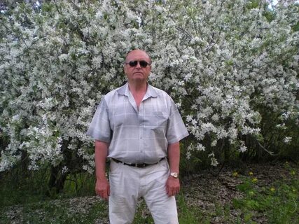 Др абрамова