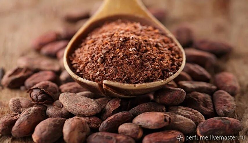 Какао порошок cacao powder. Какао бобы. Какао бобы деньги. Какао порошок кот-д'ивуар. Какао.