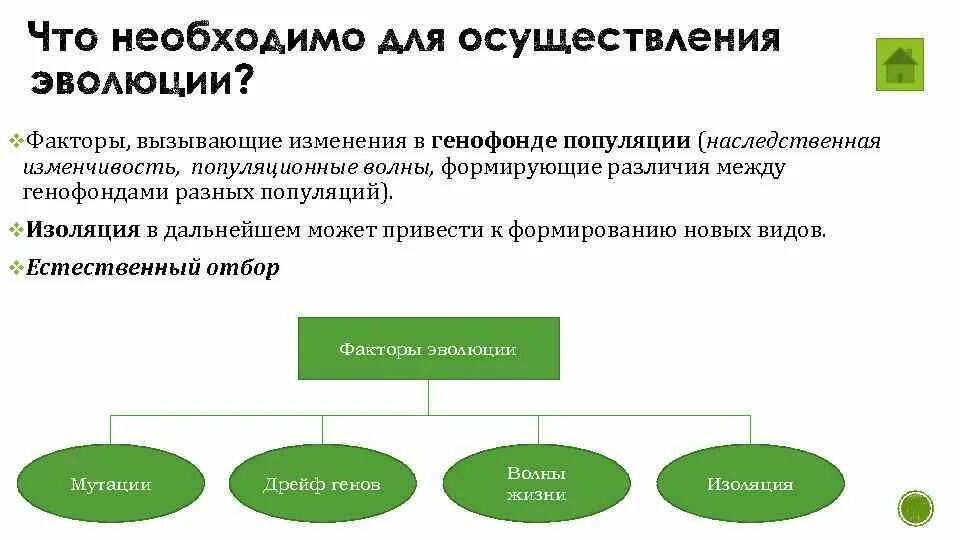 Направленные изменения генофонда. Факторы изменения генофонда. назовите условия необходимые для осуществления эволюции. факторы изменения генофонда популяции. факторы изменяющие генофонд популяции.