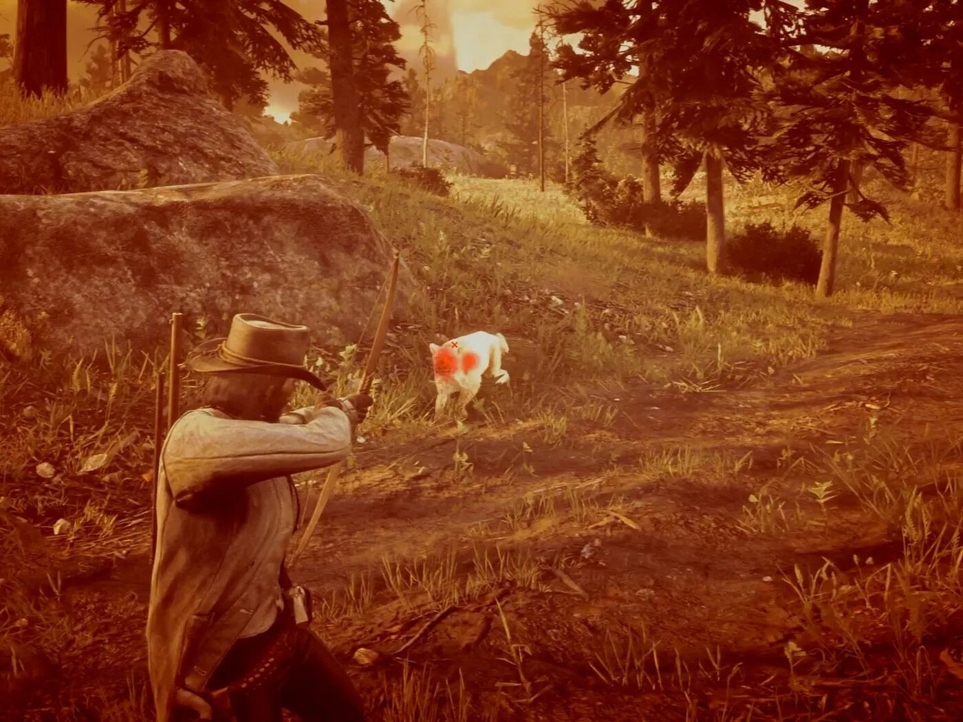 Rdr пума. Rdr 2 пума. rdr 2 cougar location. rdr2 cougar. rdr 2.