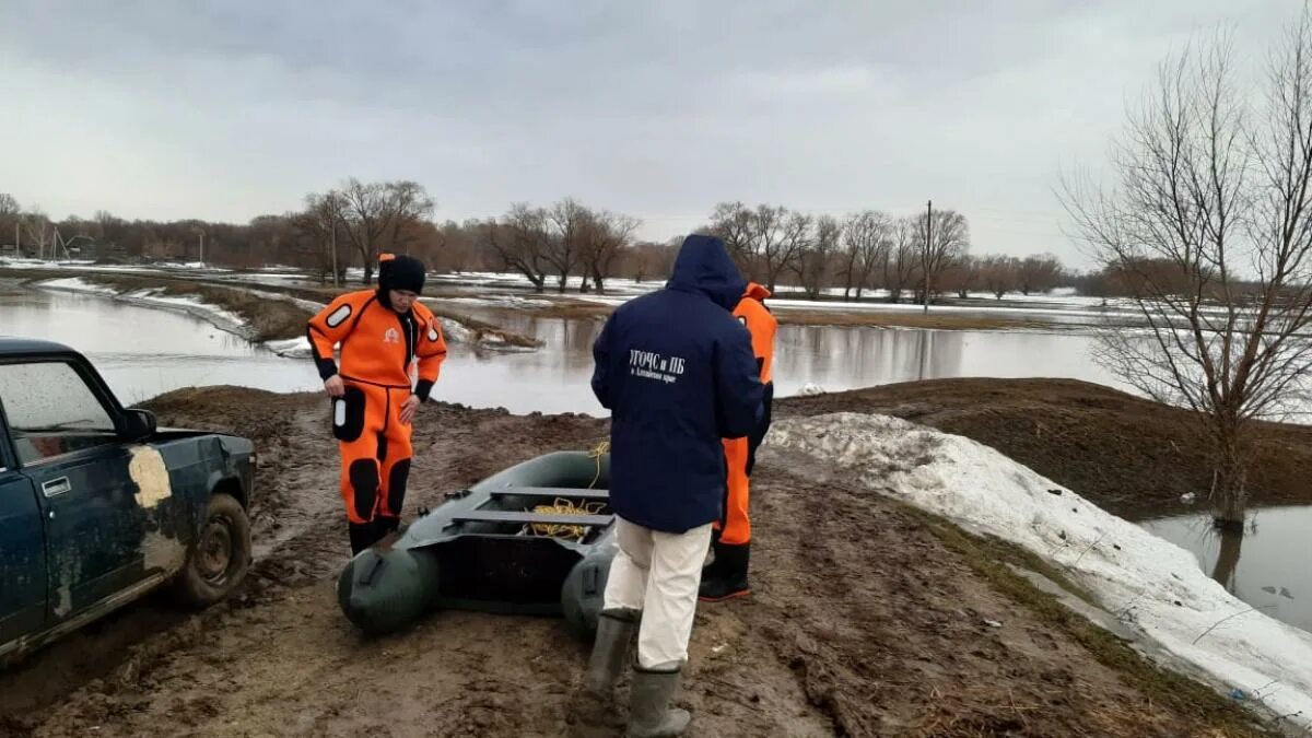 Уровень воды в чарыше на сегодня. Паводок. Наводнение в Алтайском крае. Краснощеково Алтайский край подтопление. Уровень воды в реке Чарыш.