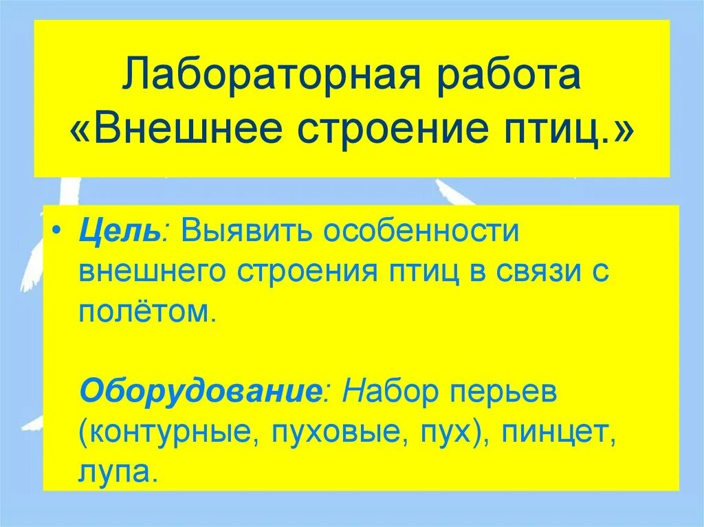 Лабораторная работа внешнее строение птиц. Лабораторная работа внешная строения птицы. Лабораторная работа строение птиц. Лабораторная работа особенность внешнего строения птиц.