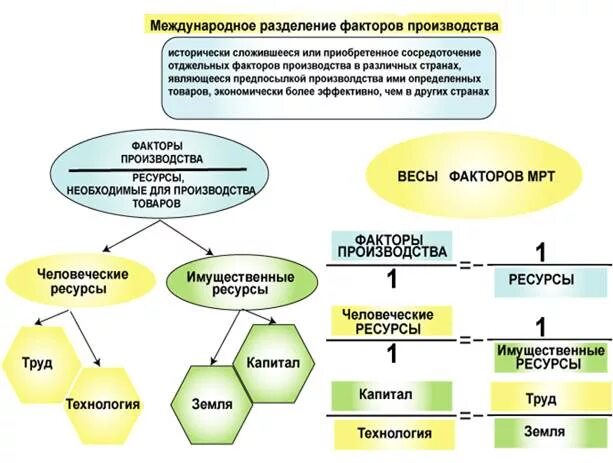 Международная специализация формы