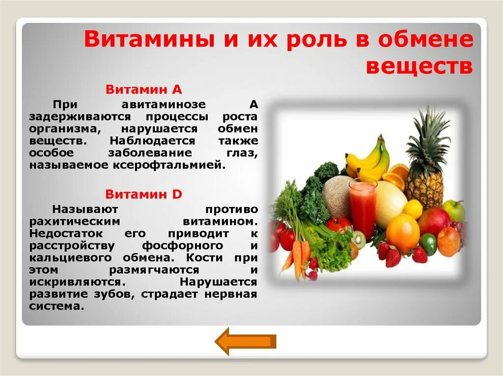 Витамины и их роль. Роль витаминов в метаболизме человека. Витамин к участие в обменных процессах. Роль витаминов в обменных процессах.