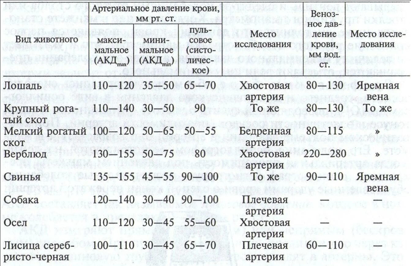 Норма артериального давления у собак. Норма давления у животных таблица. Нормы артериального давления у собак и кошек. Нормы артериального давления у животных. Температура тела кур