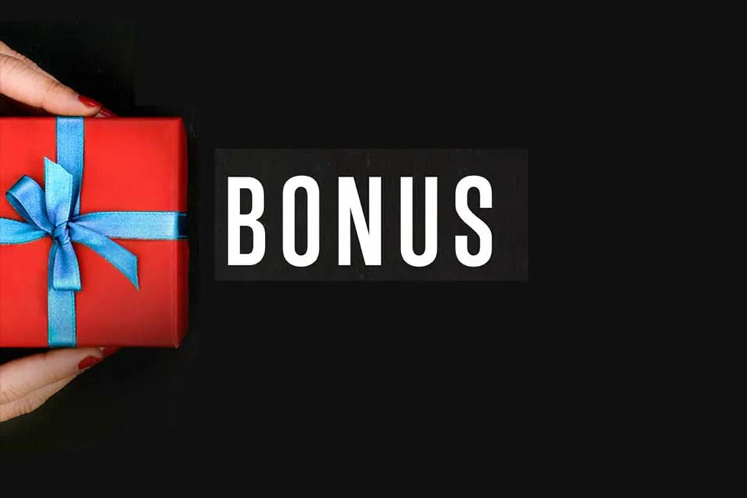 Bonus media. Терминал alles bonus. bonus. br bonus. bonus orna.