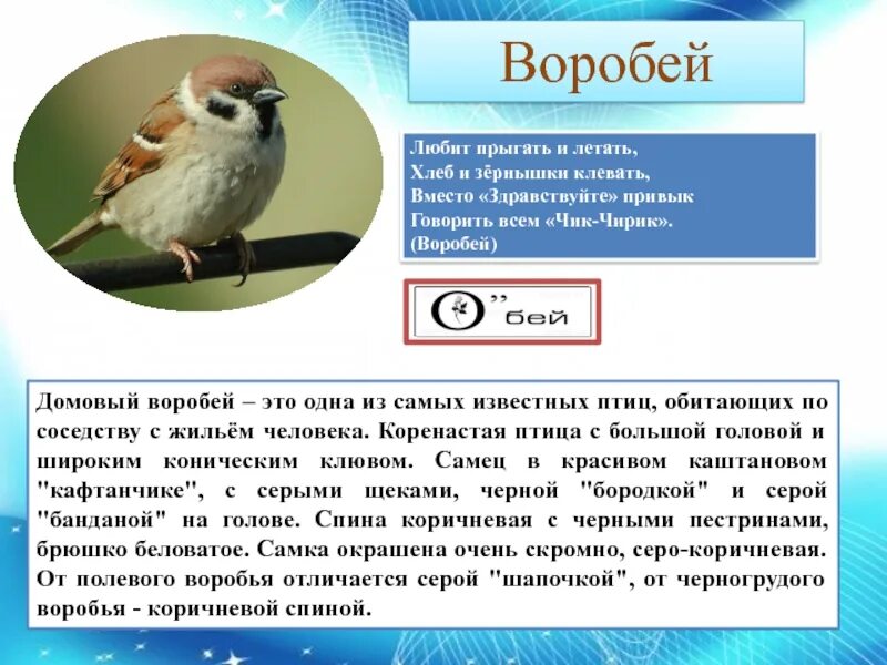 Какого года воробей