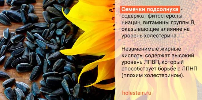 Семечки подсолнечника вред и польза для организма. Семечки подсолнуха польза. Полезны ли семечки подсолнуха. Семена подсолнечника польза. Чем полезны семена подсолнуха.
