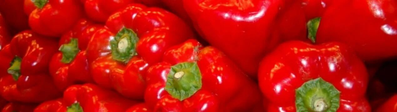 Популярные сорта перца. Популярные сорта перца