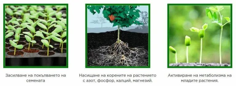 Удобрение для корневой системы. Удобрение Агромакс. Виды удобрений для растений. Удобрения для роста корневой системы растений.