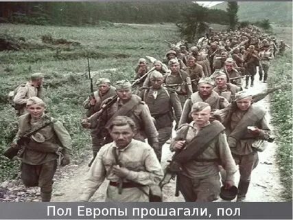 Май пол