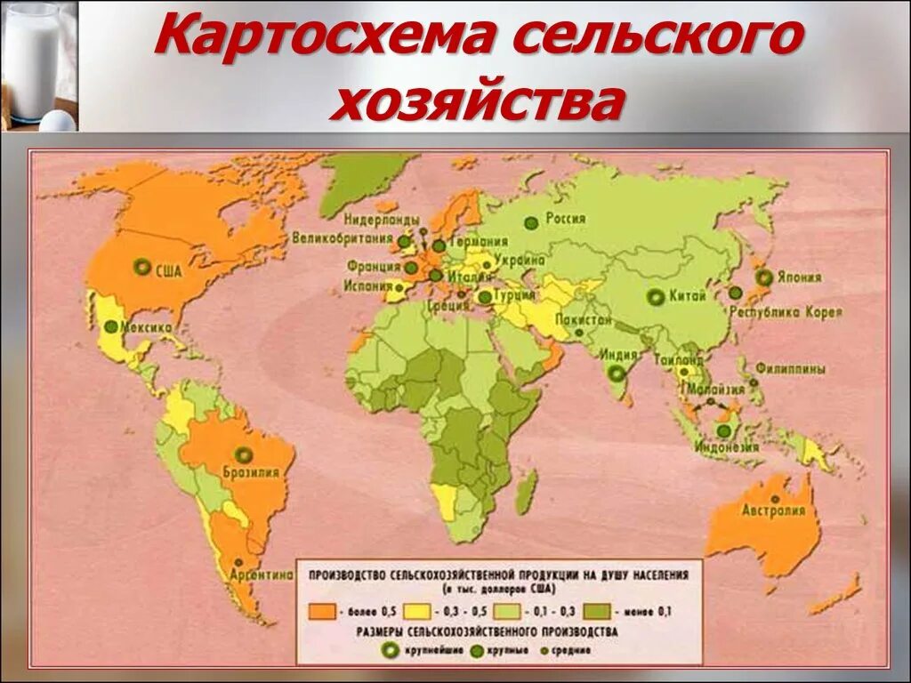 Районы производства сельскохозяйственной продукции. Картосхема сельского хозяйства.