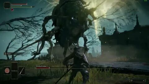 Grafted scion