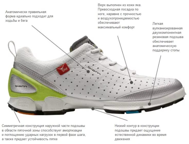 Кроссовки правильной формы. Кроссовки экко мужские 2010-2015 с зеленой подошвой. Кроссовки экко мужские 1995-2000. Кроссовки ecco низкая подошва модель 2010. Топовые кроссовки ecco 2023.
