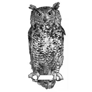 Owl g