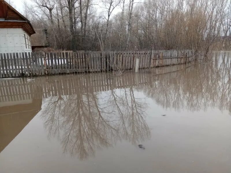 Погода алтайского края село огни. Бураново Усть Калманский район. Огни Усть Калманский район. Михайловка Усть-Калманский район Алтайский край. Наводнение в Усть-Куте 2001.