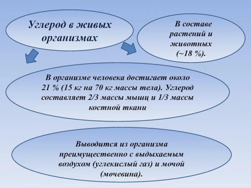 Содержание углерода в человеке. Углерод в организме человека. значение углерода в организме человека. углерод в теле человека. роль углерода в жизни человека.