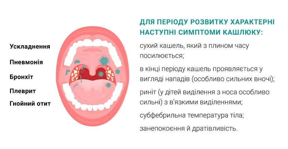 Коклюш бывает у взрослых и какие симптомы. Коклюш бывает у взрослых и какие симптомы