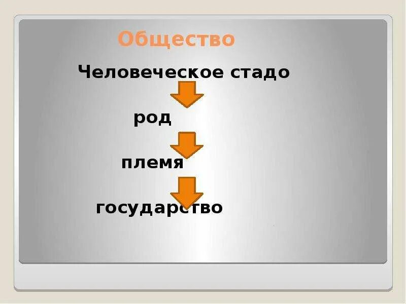 Формы объединения древних людей. Родовая община и племя. Первобытное стадо родовая община соседская община. Родовые общины первобытных людей. Родовая община в первобытном обществе.