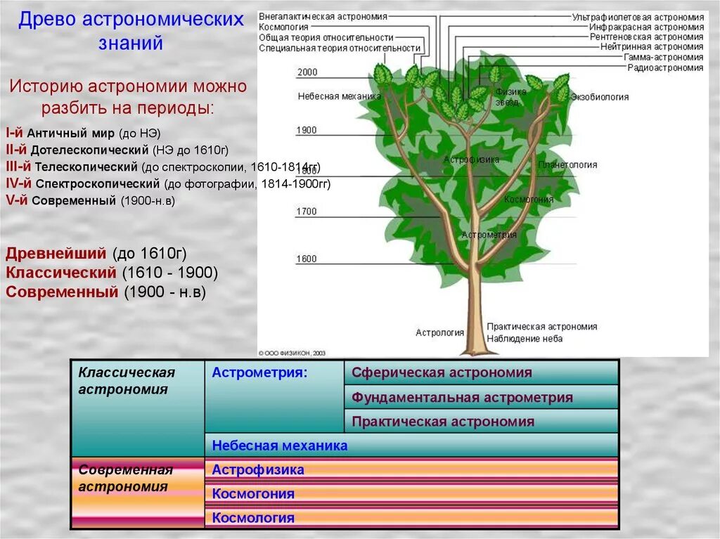 Древо астрономических знаний. Древо развития астрономии. Древо астрономических знаний по астрономии. Проект Древо развития астрономии.