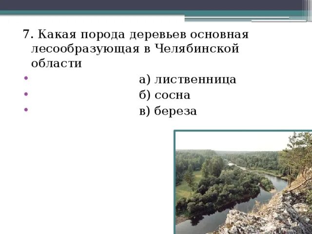 Основные лесообразующие породы. Основные +лесообразующие породы Вологодской области. Основная лесообразующая порода Мордовии. Основная лесообразующая порода Брянщины. Основные лесообразующие породы Московской области.