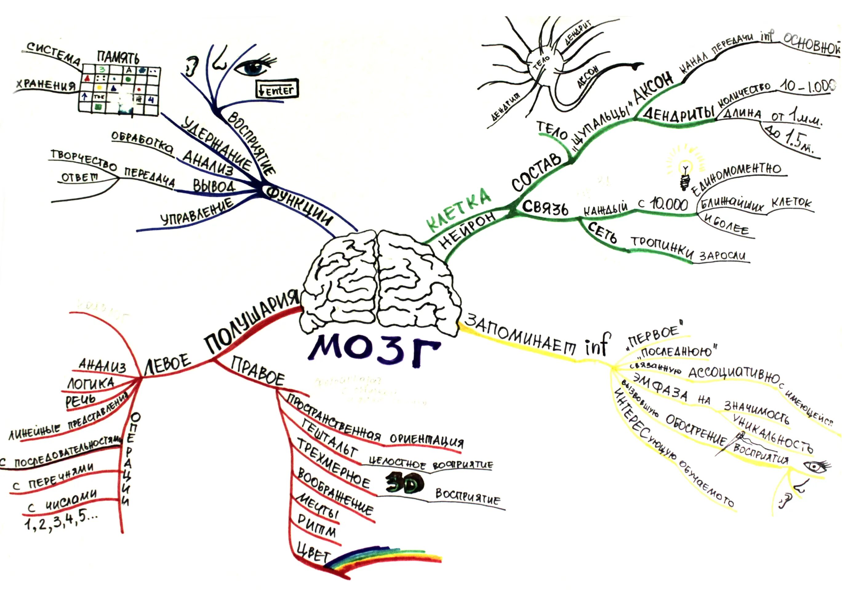 Карты памяти, интеллект карты, диаграмма связей. Ментальная карта по нервной системе. Схема составления интеллект карты. Ментальная схема интеллект карта. Русские майнд карты