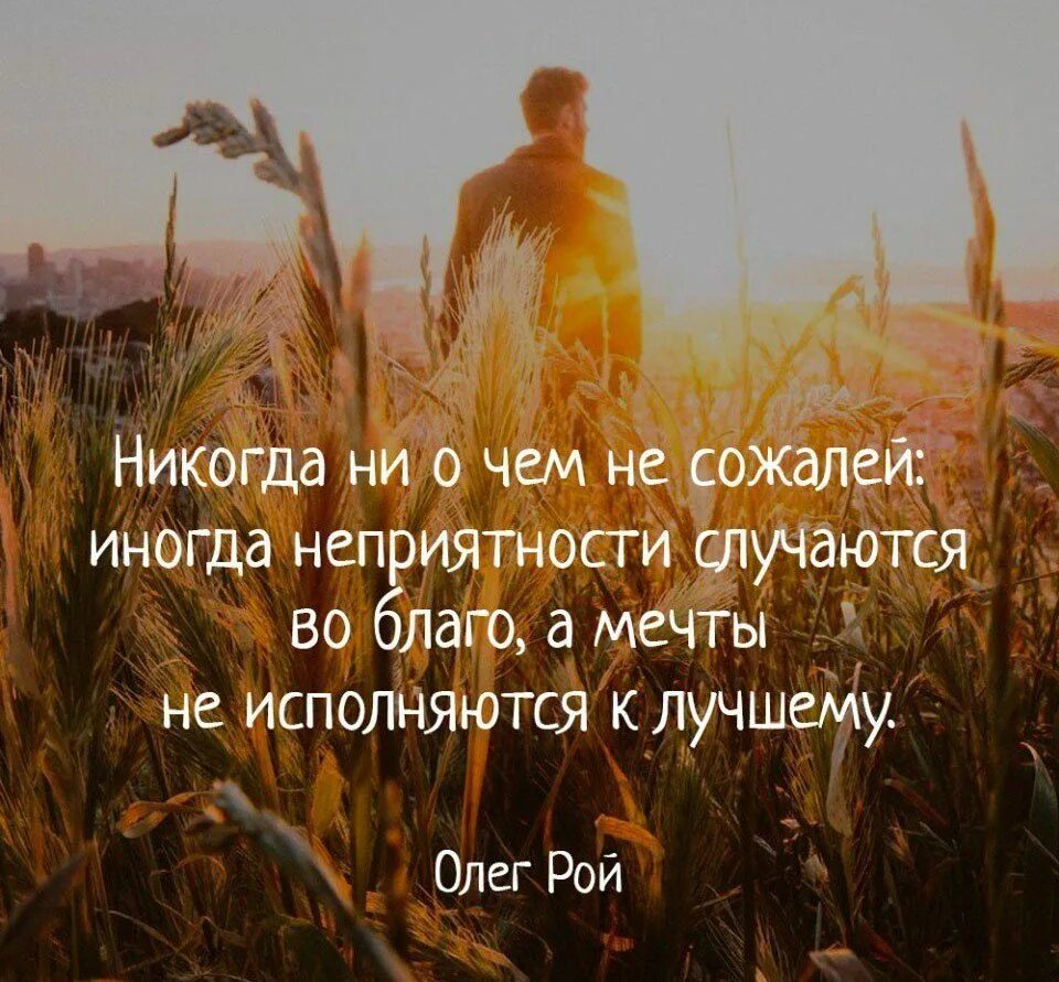 Иногда похожий. Иногда неприятности случаются во благо а мечты. никогда ни о чем не сожалей иногда. иногда мечты не сбываются к лучшему. ни о чем не сожалею.