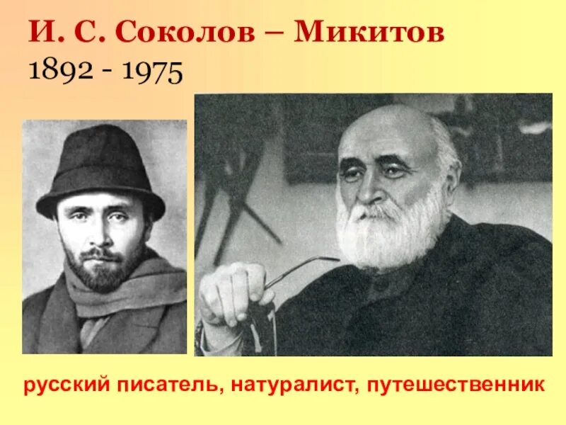 Сокол микитов писатель. Портрет Соколова Микитова. Ивана Сергеевича Соколова-Микитова. Соколов-Микитов портрет писателя для детей.