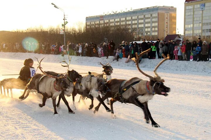 Олене праздник