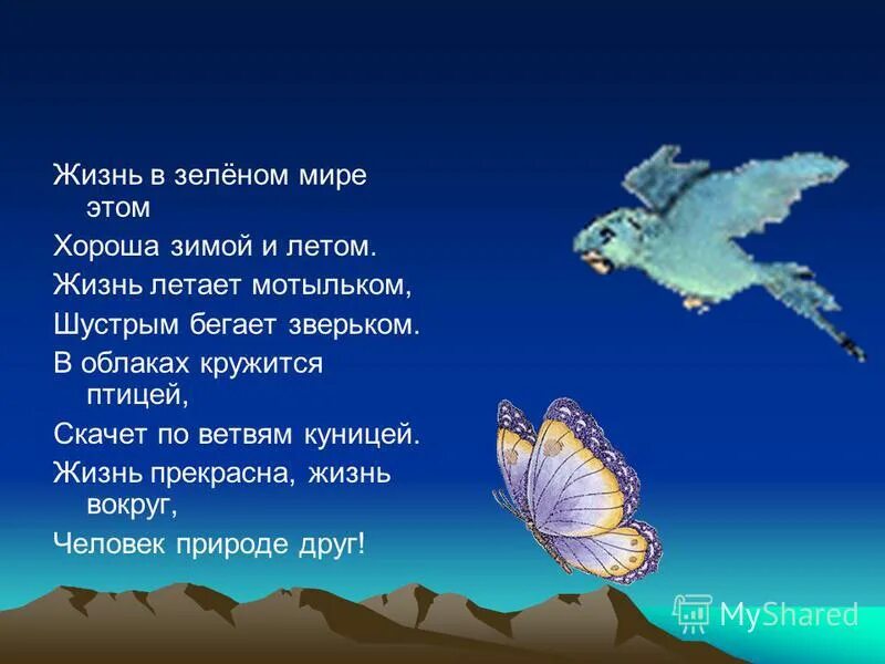 Мотылек на окне ночью. Песня мотылек летаешь летаешь. Бабочка в полете. Лети отсюда белый мотылек. Песня мотылек летаешь летаешь.