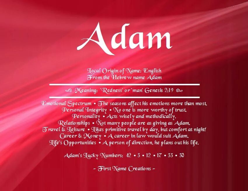 Zurek adam на русском. Zurek adam на русском